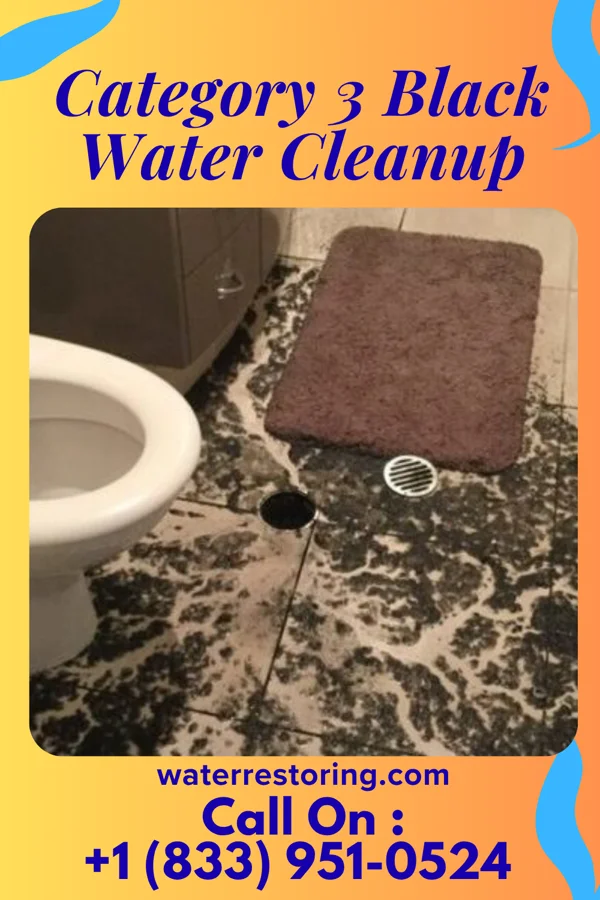 Category 3 Black Water Cleanup in Canton, PA