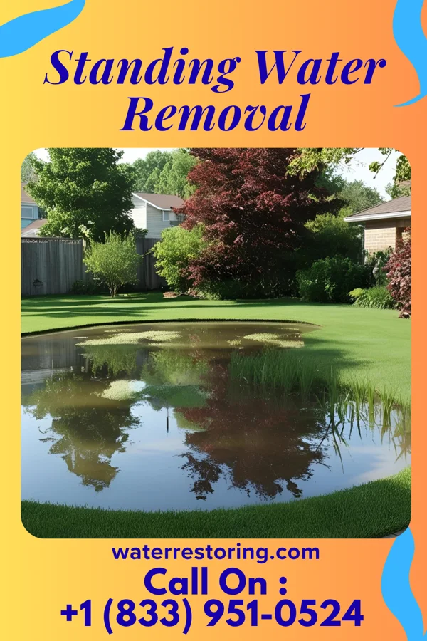 Standing Water Removal in Canton, PA
